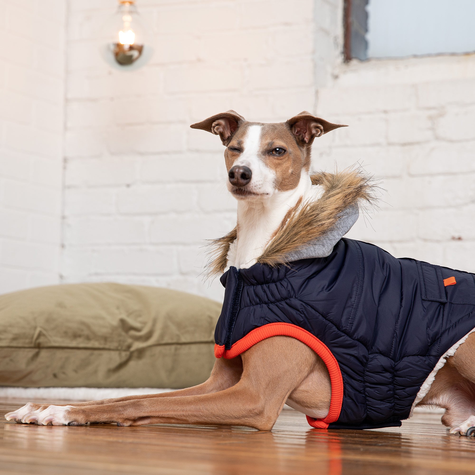 Winter Dog Parka Coat – Water-Repellent with Sherpa Lining & Fur Hood